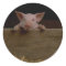 Piglet Sticker