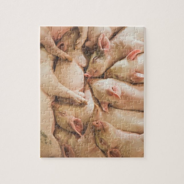 Piglets Puzzle (Vertical)
