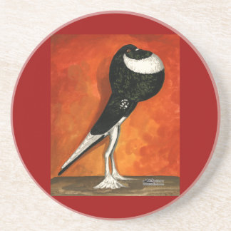 Pigmy Pouter Pigeon Black Pied Coaster