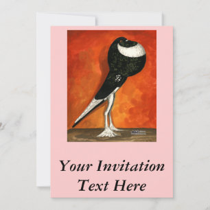 Pigmy Pouter Pigeon Black Pied Invitation