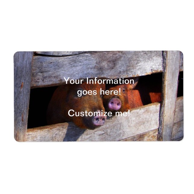 PigPen Pair Peeking Piggies (Front)