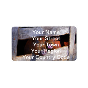 PigPen Pair Peeking Piggies Label