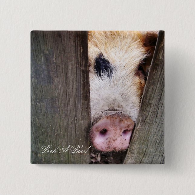 PIGS 15 CM SQUARE BADGE (Front)