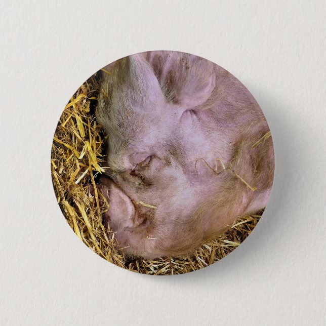 PIGS 6 CM ROUND BADGE (Front)