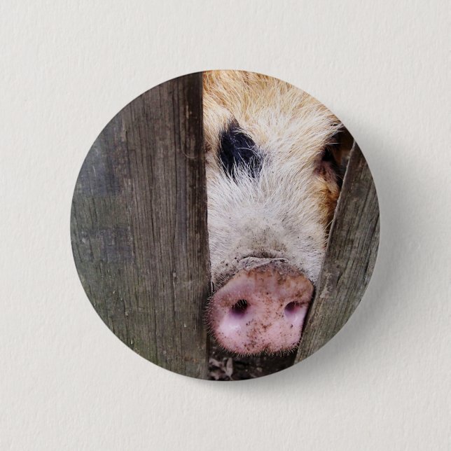 PIGS 6 CM ROUND BADGE (Front)