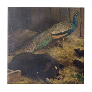 Pigs and Peacock by Charles Burton Barber in 1878 Tile
