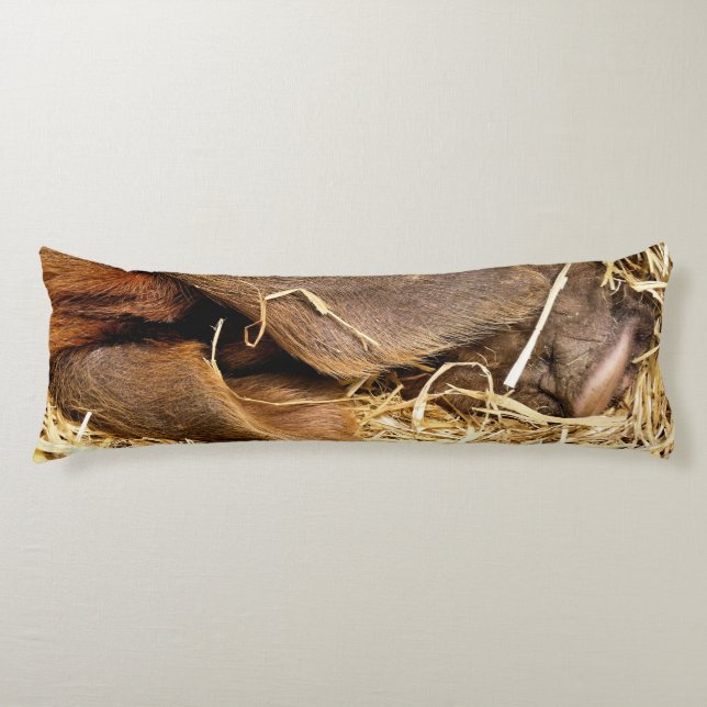 PIGS BODY CUSHION (Front)