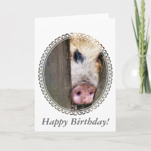 PIGS CARD