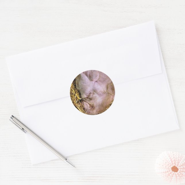 PIGS CLASSIC ROUND STICKER (Envelope)