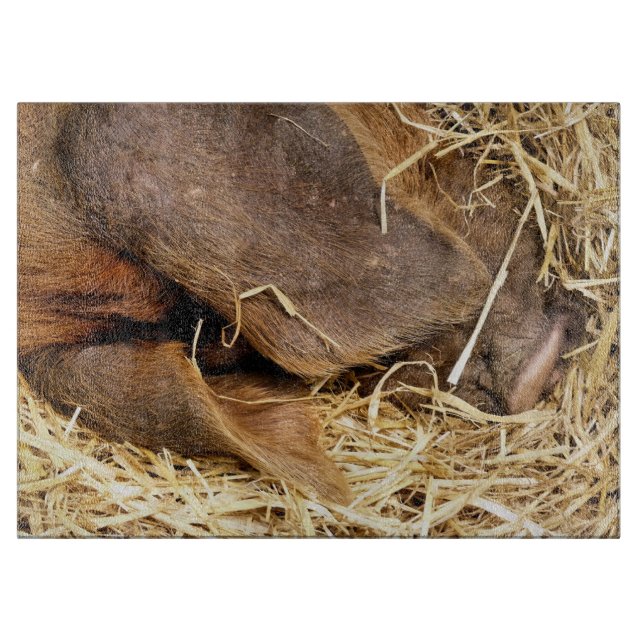 PIGS CUTTING BOARD (Front)