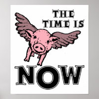 Pigs Fly Now Funny Poster