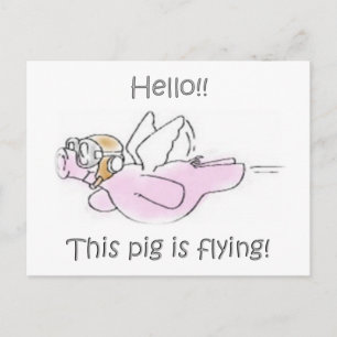 Pigs Fly Postcard