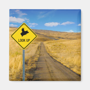 Pigs Flying Above Sign Magnet