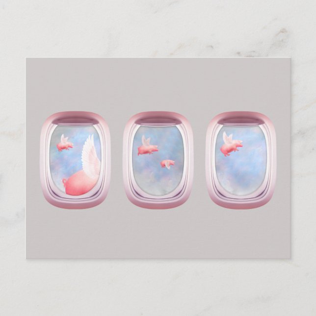 Pigs Flying Past Airplane Window Postcard (Front)