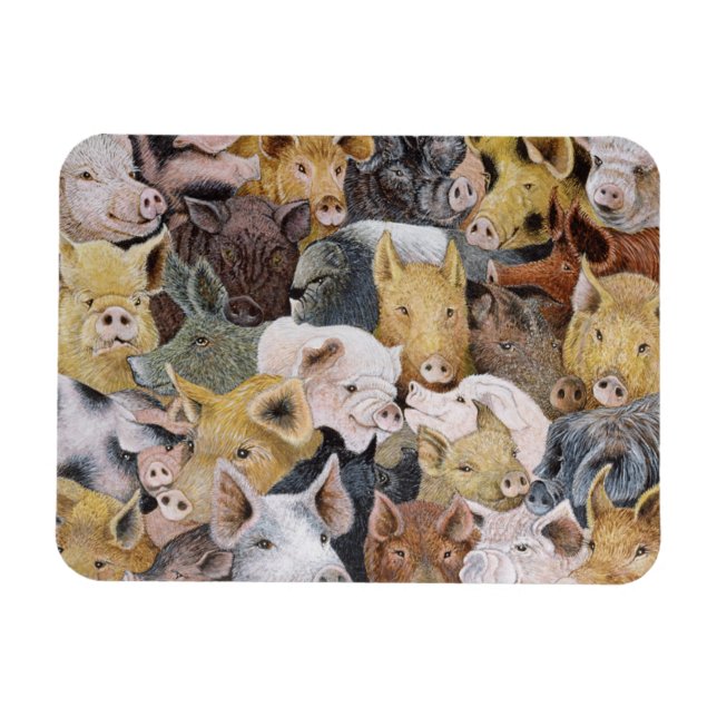 Pigs Galore Magnet (Horizontal)