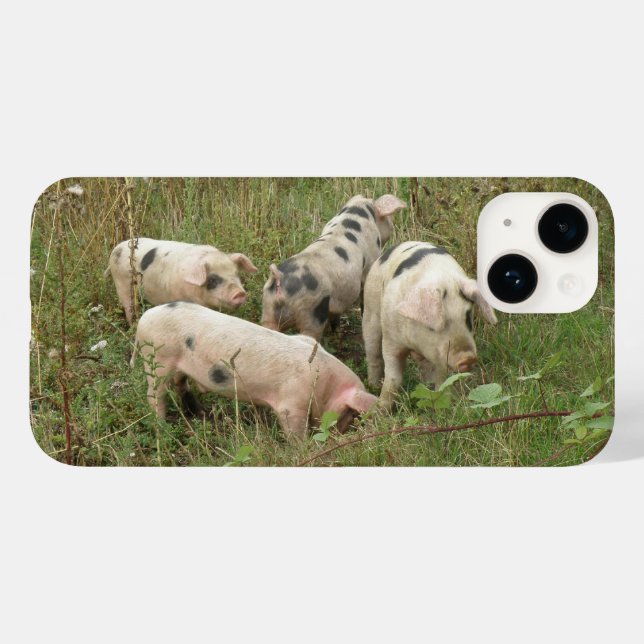 Pigs in a Field Case-Mate iPhone Case (Back (Horizontal))