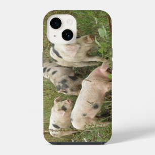 Pigs in a Field iPhone 14 Case