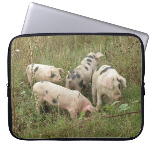 Pigs in a Field Laptop Bag