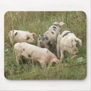 Pigs in a Field Mousepad