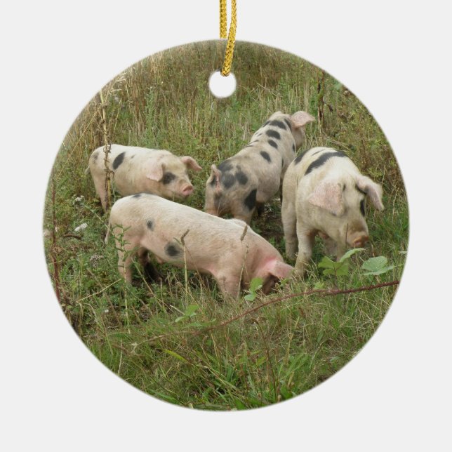 Pigs in a Field Ornament (Front)
