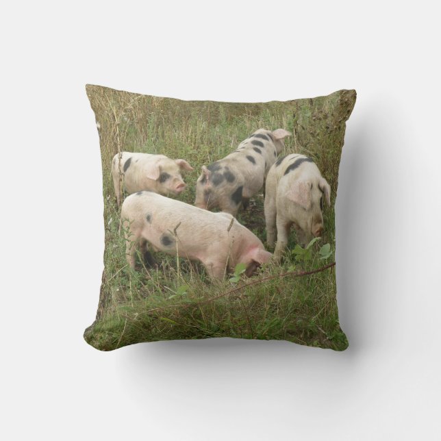 Pigs in a Field Pillow (Front)