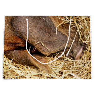 PIGS LARGE GIFT BAG