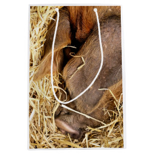 PIGS MEDIUM GIFT BAG