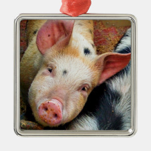 PIGS METAL TREE DECORATION