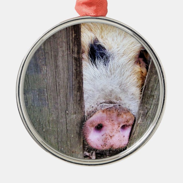 PIGS METAL TREE DECORATION (Front)