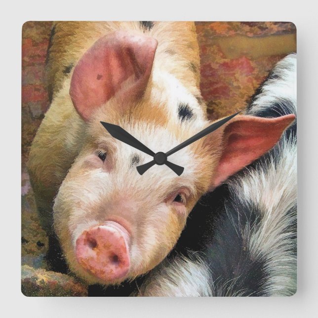 PIGS SQUARE WALL CLOCK (Front)