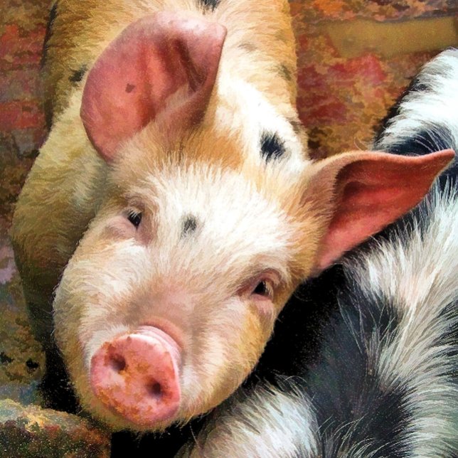 PIGS TEA TOWEL (Creator Uploaded)