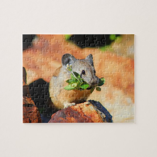 Pika Chewing On Plants Jigsaw Puzzle (Horizontal)
