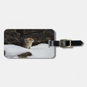 Pika in Snow Tag with Contact Info