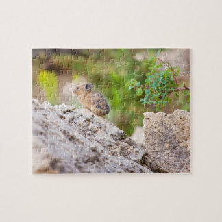 Pika Jigsaw Puzzle