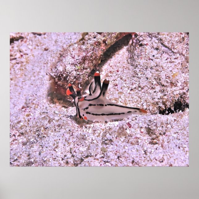 Pikachu Poster (Front)