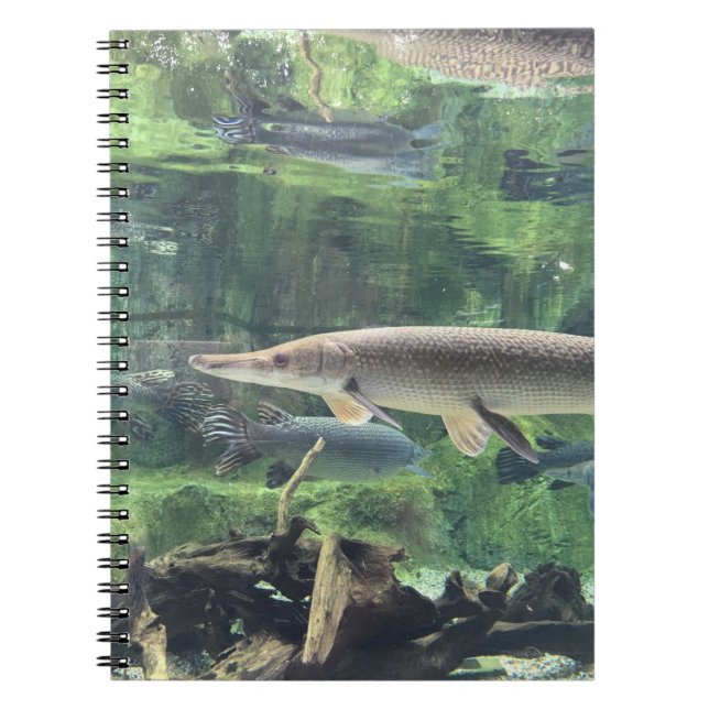 Pike Fish Spiral Notebook (Front)