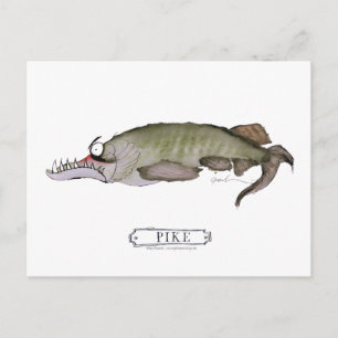 Pike fish, tony fernandes postcard