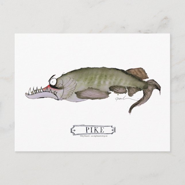 Pike fish, tony fernandes postcard (Front)