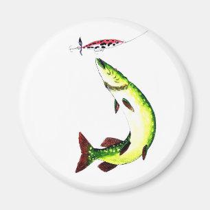 Pike fishing and fly fishing magnet