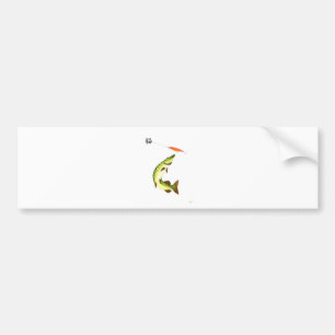 Pike fishing bumper sticker