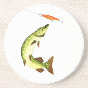 Pike fishing coaster