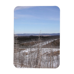 Pike Forest Photo Magnet