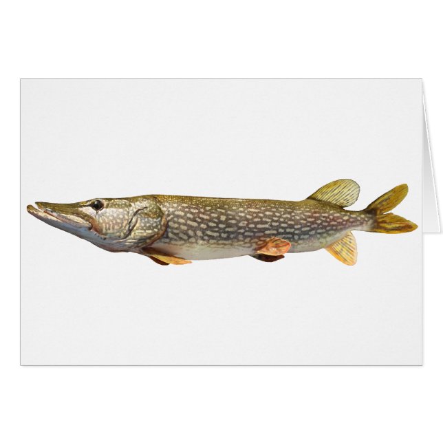 Pike Muski fishing (Front Horizontal)
