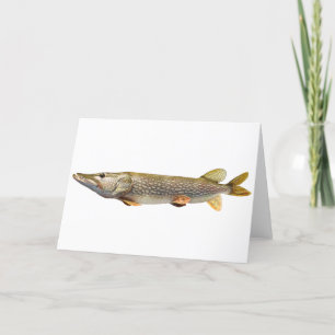 Pike Muski fishing Card