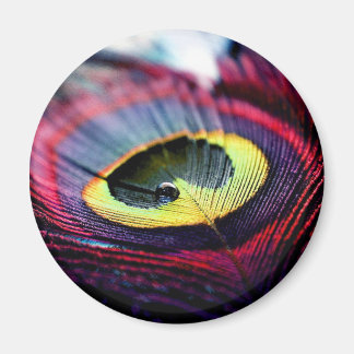 Pikock Perfection: Captivating Magnet Design