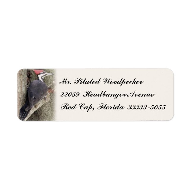Pilated Woodpecker Custom Return Address Labels (Front)