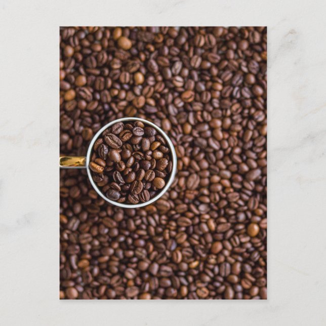 Pile of Coffee Beans with Coffee Cup Full of Beans Postcard (Front)