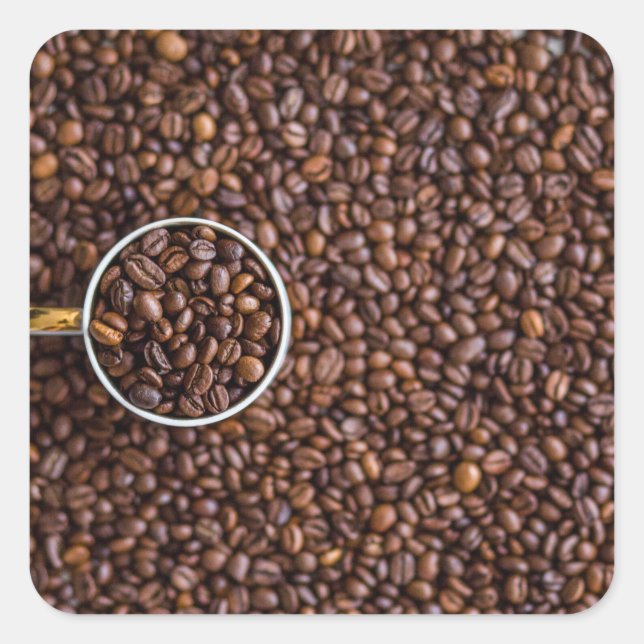 Pile of Coffee Beans with Coffee Cup Full of Beans Square Sticker (Front)