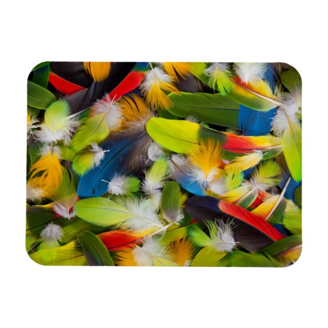 Pile of colourful feathers magnet (Horizontal)