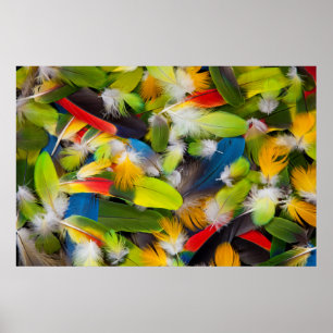 Pile of colourful feathers poster